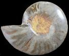 Split Black/Orange Ammonite (Half) - Unusual Coloration #55684-1
